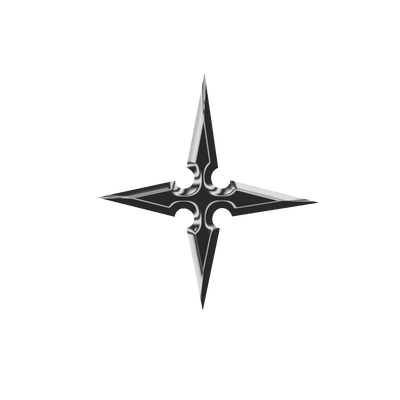 Black and silver stylized four-pointed star logo design for streetwear clothing collection